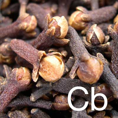 Clove Bud (Eugenia Caryophyllata Bud oil) Ingredient Image