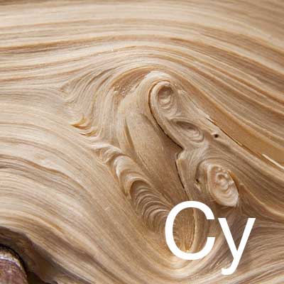 Cypress (Cupressus Sempervirens Leaf Extract) Ingredient Image
