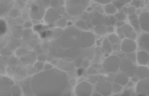 Scanning Electron Microscope Image of R10 Labs 5in1 Face Moisturiser